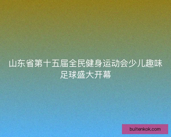 山东省第十五届全民健身运动会少儿趣味足球盛大开幕