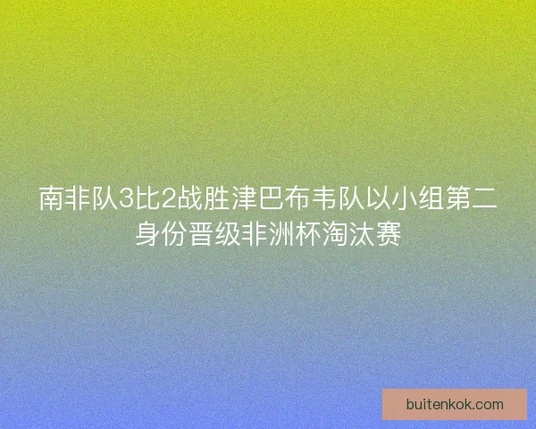 南非队3比2战胜津巴布韦队以小组第二身份晋级非洲杯淘汰赛 南非队3比2战胜津巴布韦队以小组第二身份晋级非洲杯淘汰赛