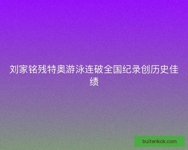 刘家铭残特奥游泳连破全国纪录创历史佳绩