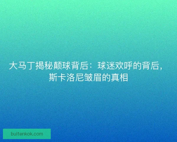 大马丁揭秘颠球背后：球迷欢呼的背后，斯卡洛尼皱眉的真相